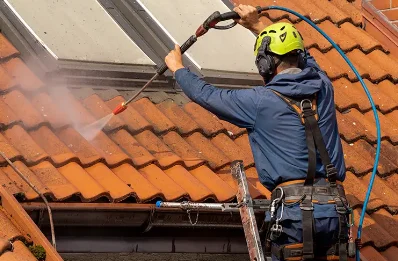 Démoussage et hydrofuge de toiture à Pallanne